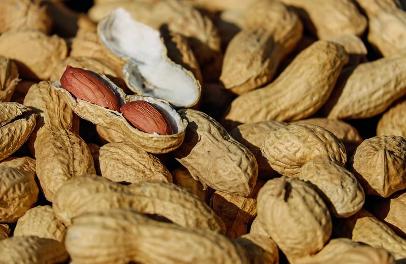 Nuts and Seeds
